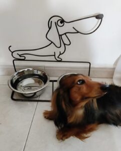 04b4a5de-d95f-4db4-ba6a-306ea64d3242